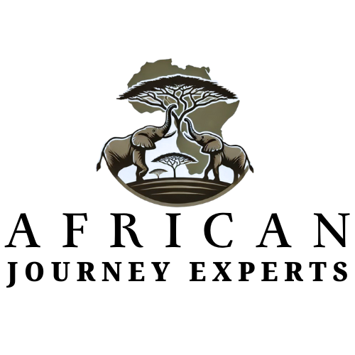 Fosco college of education Logo